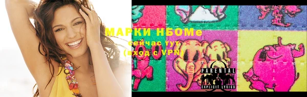 трава Няндома