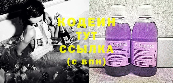 индика Нягань