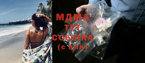 индика Нягань