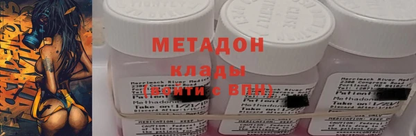 трава Няндома