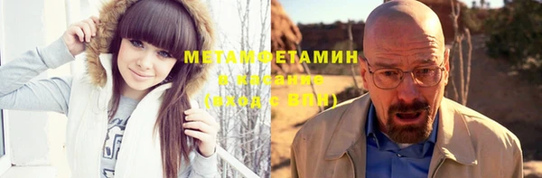 индика Нягань
