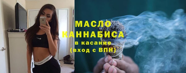 индика Нягань