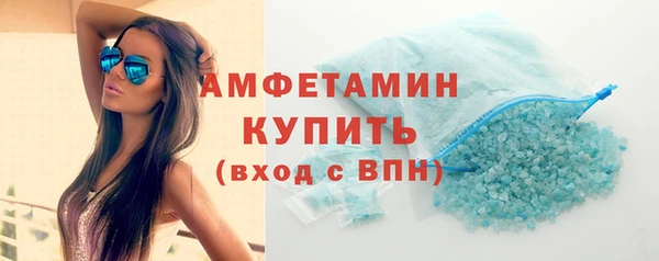 индика Нягань