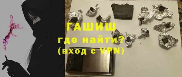 индика Нягань