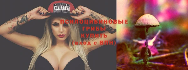 трава Няндома