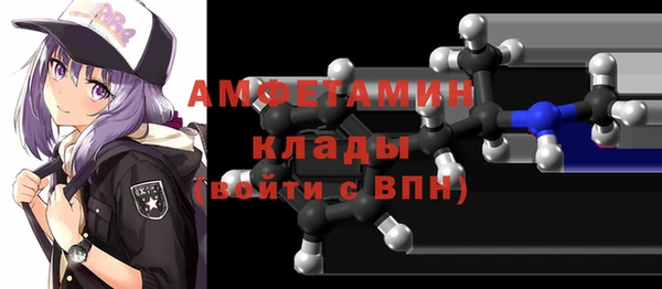 индика Нягань
