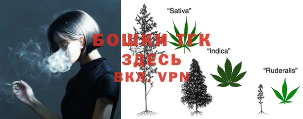 индика Нягань