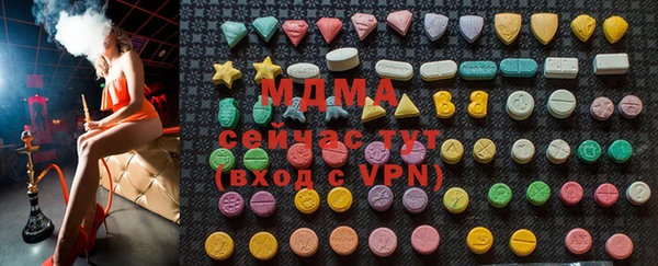 индика Нягань