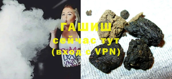 индика Нягань