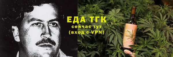индика Нягань