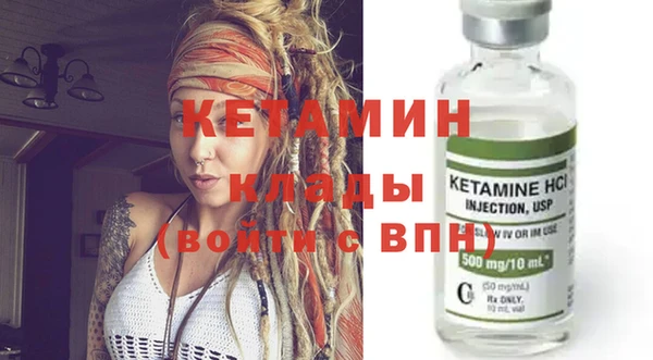 трава Няндома