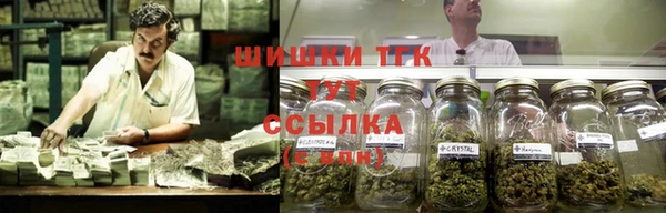 трава Няндома