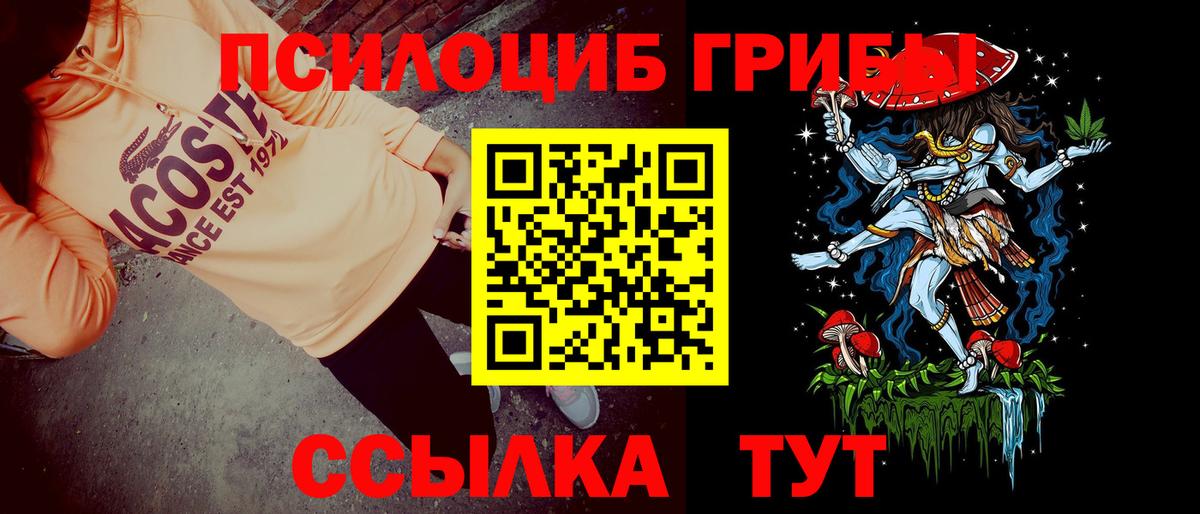 Галлюциногенные грибы Cubensis Ялта